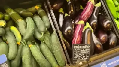 IviRoses – Fucked Cucumber Left in Supermarket